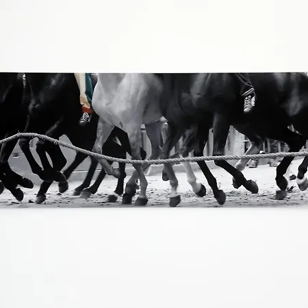 Dimora Storica - Palazzo Del Taja Appartamento *